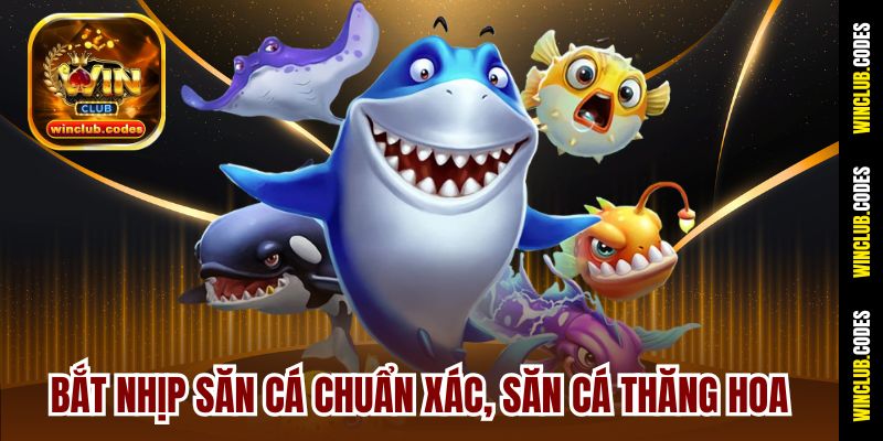 Bắt nhịp săn cá chuẩn xác, săn cá thăng hoa