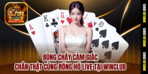 Bùng Cháy Cảm Giác Chân Thật Cùng Rồng Hổ Live Tại Winclub