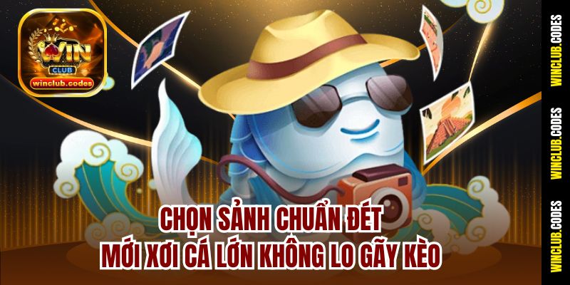 Chọn sảnh chuẩn đét mới xơi cá lớn không lo gãy kèo