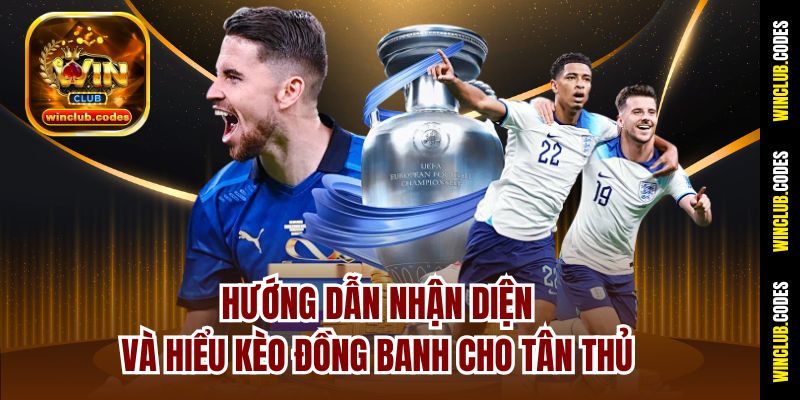 Hướng dẫn nhận diện và hiểu kèo chấp 0 cho tân thủ