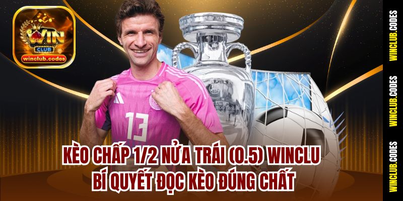 Kèo chấp 1/2 nửa trái (0.5) Winclub - Bí Quyết Đọc Kèo Đúng Chất