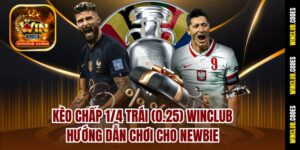 Kèo Chấp 1/4 Trái (0.25) Winclub - Hướng Dẫn Chơi Cho Newbie