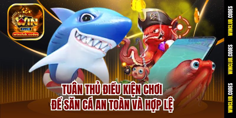 Tuân thủ điều kiện chơi để săn cá an toàn và hợp lệ